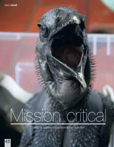 free | mind  Mission critical Saving the Southern Ground Hornbill from extinction  48