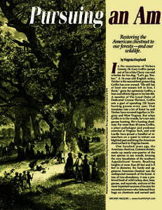 Restoring the American chestnut to our forests—and our wildlife.  Philadelphia’s Fairmount Park was the scene for Gathering Chestnuts, by J.W. Lauderbach.This engraving appeared in the Art Journal of 1878.