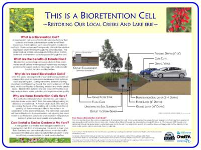 THIS IS A BIORETENTION CELL  ~RESTORING OUR LOCAL CREEKS AND LAKE ERIE~ What is a Bioretention Cell? A bioretention cell is an attractive landscape feature that collects and treats polluted storm water runoff from