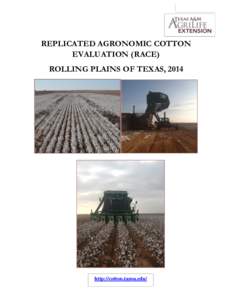 REPLICATED AGRONOMIC COTTON EVALUATION (RACE) ROLLING PLAINS OF TEXAS, 2014 http://cotton.tamu.edu/