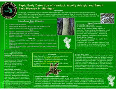 Rapid Early Detection of Hemlock Wolly Adelgid and Beech Bark Disease In Michigan