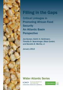 Filling in the Gaps Critical Linkages in Promoting African Food Security An Atlantic Basin Perspective