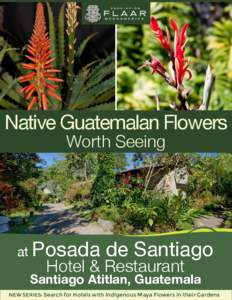 Native Guatemalan Flowers Worth Seeing at Posada  de Santiago