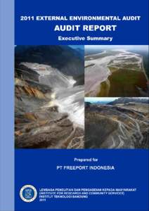 PT. Freeport IndonesiaExternal Environmental Audit  EXECUTIVE SUMMARY Environmental management is an important aspect in mining activities. As described in the integrated environmental impact analysis that in 19