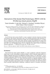 Life SciencesÐ1465  Interaction of the human DnaJ homologue, HSJ1b with the 90 kDa heat shock protein, Hsp90 Tam‡s Schnaidera, Csaba Soýtia, Michael E. Cheethamb, Yoshihiko Miyatac, Ichiro Yaharad, PŽ