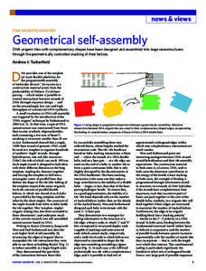 news & views DNA NANOTECHNOLOGY Geometrical self-assembly  DNA origami tiles with complementary shapes have been designed and assembled into large nanostructures