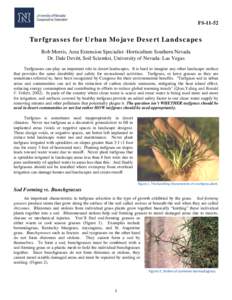 Turfgrasses for Urban Mojave Desert Landscapes