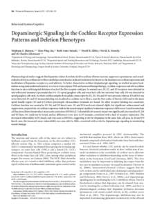 344 • The Journal of Neuroscience, January 4, 2012 • 32(1):344 –355  Behavioral/Systems/Cognitive Dopaminergic Signaling in the Cochlea: Receptor Expression Patterns and Deletion Phenotypes