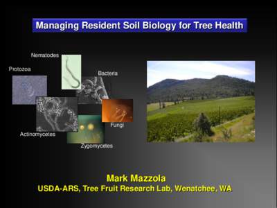 Managing Resident Soil Biology for Tree Health Nematodes Protozoa Bacteria