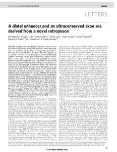 Vol 441|4 May 2006|doi:nature04696  LETTERS A distal enhancer and an ultraconserved exon are derived from a novel retroposon Gill Bejerano1, Craig B. Lowe1, Nadav Ahituv2,3, Bryan King1,4, Adam Siepel1†, Sofie 