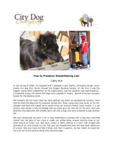 Fear to Freedom: Rehabilitating Loki Cathy Mull In the spring of 2009, my husband and I adopted a very fearful, diminutive border colliesheltie mix dog from Burns through the Oregon Humane Society. At the time it was the