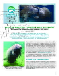 Sirenians / Geography of Florida / Florida / Environment of the United States / Manatee conservation status / Save the Manatee Club / Manatee / West Indian manatee / Three Sisters Springs / Blue Spring State Park / Sirenia / Crystal River