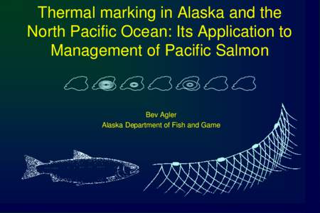 Thermal marking in Alaska and the North Pacific Ocean: Its Application to Management of Pacific Salmon Bev Agler Alaska Department of Fish and Game