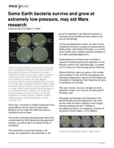 Some Earth bacteria survive and grow at extremely low pressure, may aid Mars research