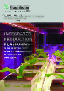 FRAUNHOFER INSTITUTE FOR MOLECULAR BIOLOGY AND APPLIED ECOLOGY IME INTEGRATED PRODUCTION INTEGRATED PLATFORMS