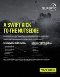 A SWIFT KICK TO THE NUTSEDGE For fast sedge control on fairways and roughs, AMVAC® has a sure answer — SUREPYCTM herbicide. Formulated with sulfentrazone, SUREPYC attacks nutsedge and green kyllinga with symptoms 