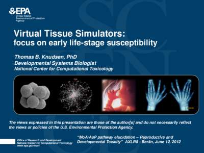Virtual Tissue Simulators: focus on early life-stage susceptibility Thomas B. Knudsen, PhD Developmental Systems Biologist National Center for Computational Toxicology