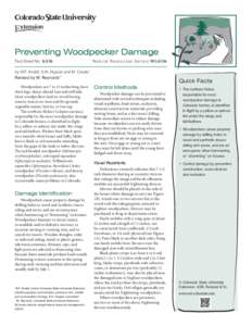 Preventing Woodpecker Damage Fact Sheet No.	 6.516 Natural Resources Series| Wildlife  by W.F. Andelt, S.N. Hopper and M. Cerato*