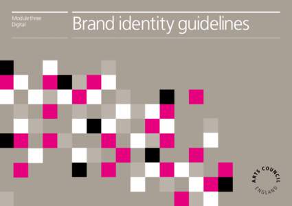 Module three Digital Brand identity guidelines  1