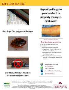 Let’s Beat the Bug! Report bed bugs to your landlord or property manager, right away!