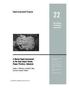 Rapid Assessment Program  22