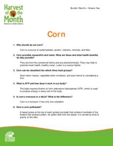 Student Sleuths – Answer Key  Corn 1. Why should we eat corn? Corn is a source of carbohydrates, protein, vitamins, minerals, and fiber. 2. Corn provides zeaxanthin and lutein. What are these and what health benefits