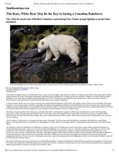 This Rare, White Bear May Be the Key to Saving a Canadian Rainforest | Science | Smithsonian Smithsonian.com This Rare, White Bear May Be the Key to Saving a Canadian Rainforest