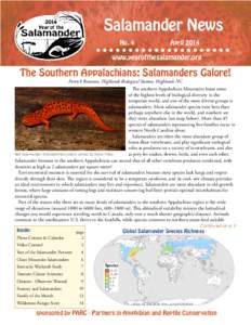 Salamander News No. 4 April 2014