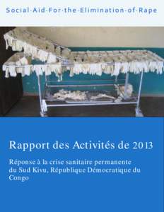 Microsoft Word - SAFER_activityreport2013_francais.doc