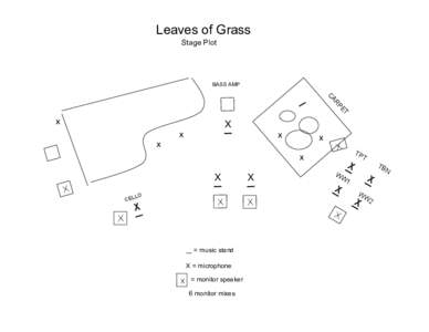 Leaves of Grass Stage Plot BASS AMP  X