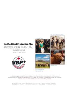 On-Farm Food Safety Animal Care Verified Beef Production Plus  PRODUCER MANUAL