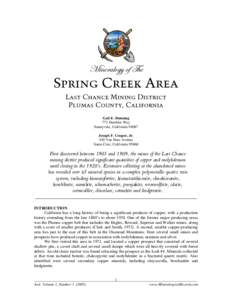 Mineralogy of The Spring Creek Area,