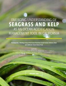 EMERGING UNDERSTANDING OF  SEAGRASS AND KELP AS AN OCEAN ACIDIFICATION MANAGEMENT TOOL IN CALIFORNIA