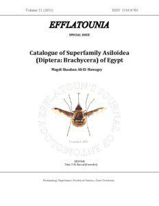 Asiloidea / Apsilocephalidae / Scenopinidae / Mythicomyiidae / Therevidae / Evocoidae / Bombyliidae / Hilarimorphidae / Entomology / Phyla / Protostome / Flies
