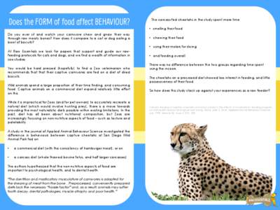 Does the FORM of food affect BEHAVIOUR? Do you ever sit and watch your carnivore chew and gnaw their way through raw meaty bones? How does it compare to a cat or dog eating a bowl of biscuits?    The carcass-fed cheeta