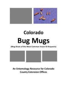 Colorado  Bug Mugs (Mug Shots of the Most Common Insect ID Requests)  An Entomology Resource for Colorado