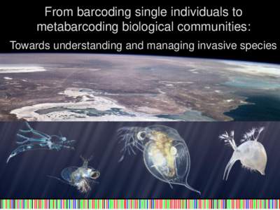 From barcoding single individuals to metabarcoding biological communities: Towards understanding and managing invasive species Global biotic homogenization