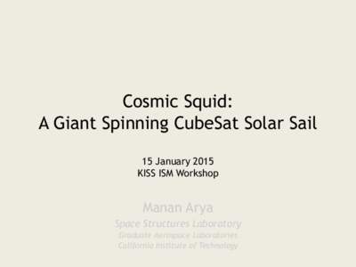 Cosmic Squid: A Giant Spinning CubeSat Solar Sail 15 January 2015 KISS ISM Workshop  Manan Arya