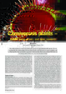 Carnivorous plants – classic perspectives and new research Barry Rice The Nature Conservancy, Davis, USA The ranks of known carnivorous plants have grown to approximately 600 species. We are learning that the relations