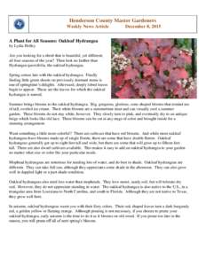 Henderson County Master Gardeners Weekly News Article December 8, 2015  A Plant for All Seasons: Oakleaf Hydrangea