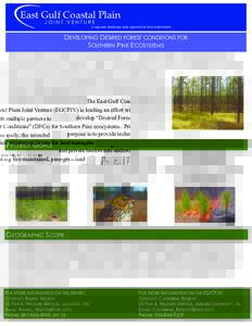 East Gulf Coastal Plain JOINT VENTURE a regional, landscape­scale approach to bird conservation   DEVELOPING DESIRED FOREST CONDITIONS FOR