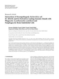 Interactions of Neuropathogenic Escherichia coli K1 (RS218) and Its Derivatives Lacking Genomic Islands with Phagocytic Acanthamoeba castellanii and Nonphagocytic Brain Endothelial Cells