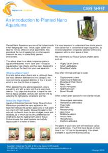 An introduction to Planted Nano Aquariums Planted Nano Aquariums are one of the hottest trends in fish keeping right now. Small, super stylish and ideal for homes, offices or small apartments, they