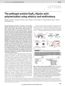 Vol 454 | 21 August 2008 | doi:nature07170  LETTERS The pathogen protein EspFU hijacks actin polymerization using mimicry and multivalency Nathan A. Sallee1,2, Gonzalo M. Rivera3, John E. Dueber2{, Dan Vasilescu3