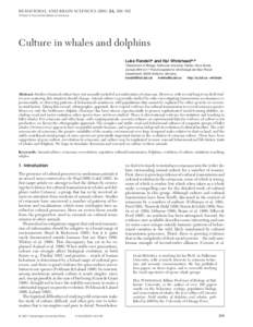 BEHAVIORAL AND BRAIN SCIENCES[removed], 309–382 Printed in the United States of America Culture in whales and dolphins Luke Rendella and Hal Whiteheada,b aDepartment of Biology, Dalhousie University, Halifax, Nova Sco