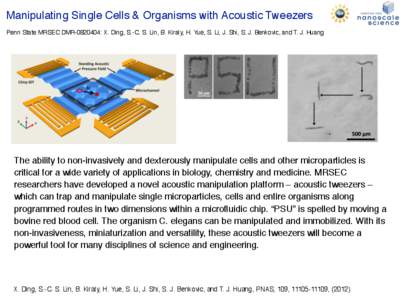 Manipulating Single Cells & Organisms with Acoustic Tweezers Penn State MRSEC DMR[removed]: X. Ding, S.-C. S. Lin, B. Kiraly, H. Yue, S. Li, J. Shi, S. J. Benkovic, and T. J. Huang The ability to non-invasively and dexter