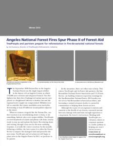 Winter[removed]Angeles National Forest Fires Spur Phase II of Forest Aid TreePeople and partners prepare for reforestation in fire-devastated national forests  154,000 acres burned in September in the