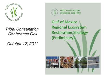 Tribal Consultation Conference Call October 17, 2011 Goal: Restore and