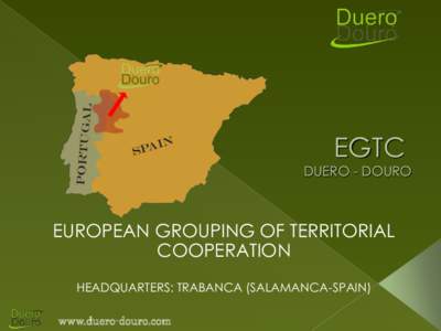 EGTC  DUERO - DOURO EUROPEAN GROUPING OF TERRITORIAL COOPERATION