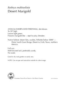 Baileya multiradiata  Desert Marigold annual/short-lived perennial, deciduous. To 20